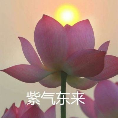 一品官老爷手游果盘版下载